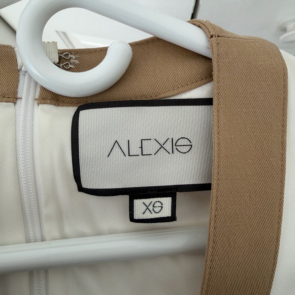 Alexis Mini Dress - Picture 3 of 3
